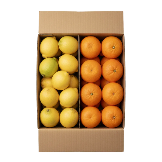 Frische andalusische Zitronen und Orangen von Fincafresh in Karton direkt vom Feld